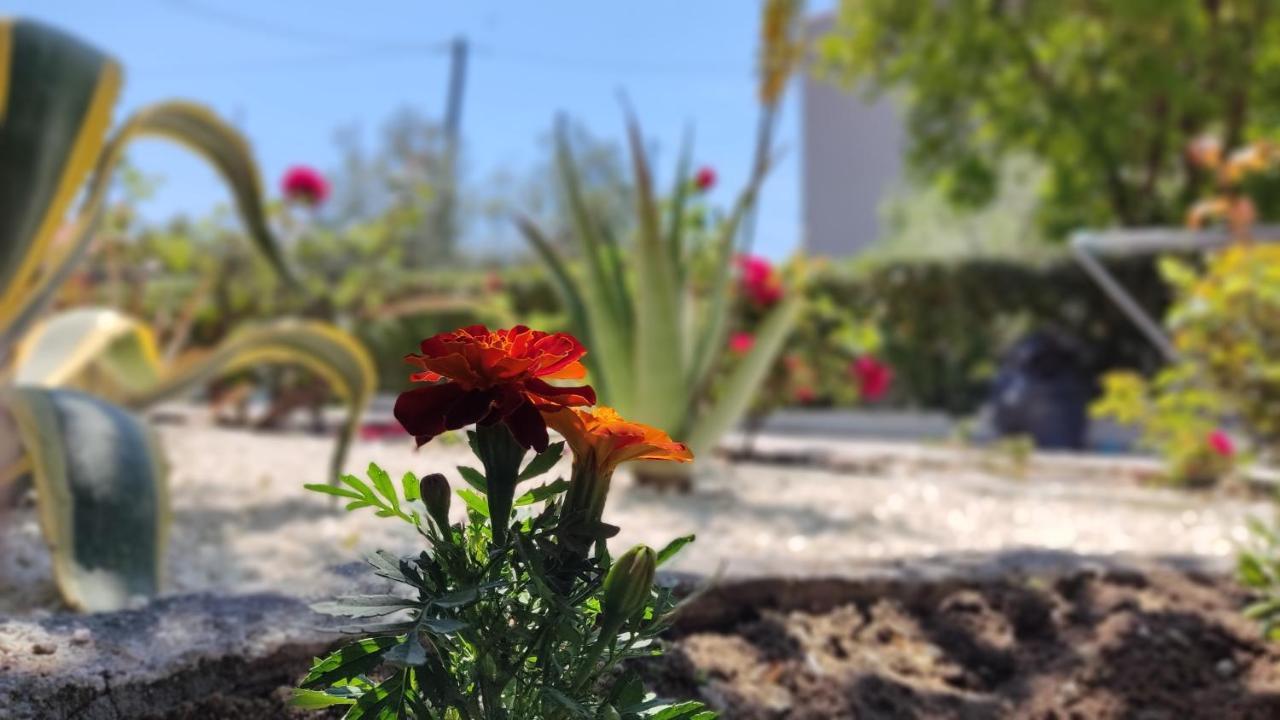 Vila Elina House And Garden Nikiti  Exteriér fotografie
