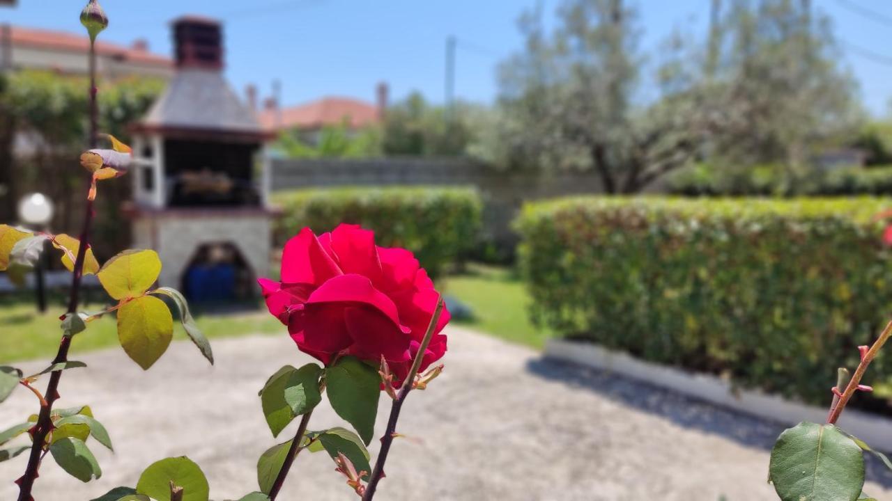 Vila Elina House And Garden Nikiti  Exteriér fotografie